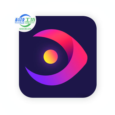 Aiseesoft Video Converter 视频转换大师  特别版 v10.9.12